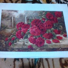 Работа «Как хороши были розы. Автор схемы stella»