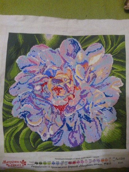 Работа «ЦВЕТЫ»