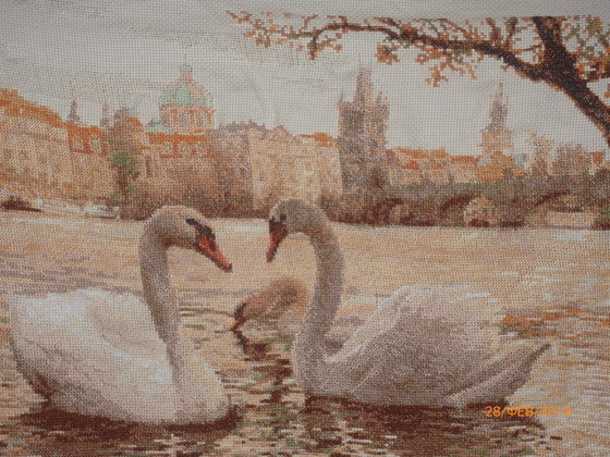 Работа «лебеди в праге»