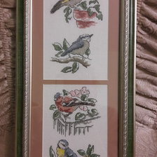 Работа «Друзья пернатые»