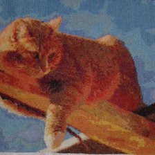 Работа «Рыжая морда))»