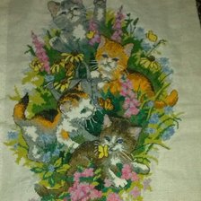 Работа «№58330»