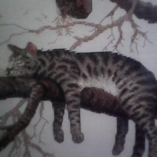 Работа «№58470»