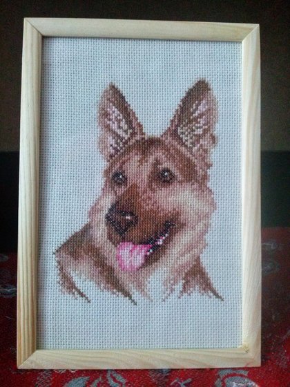 Работа «Овчарка»