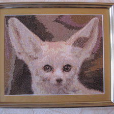 Работа «Фенёк-песчаная лисица»