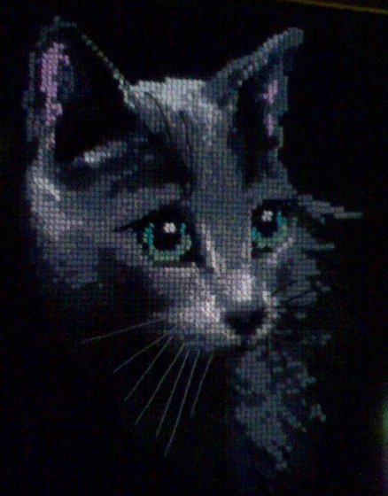 Работа «"Русская голубая" RIOLIS»