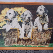 Работа «щенята»