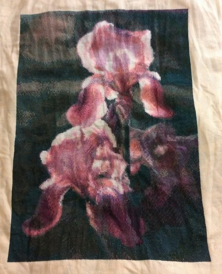 Работа «Ирисы в лучах солнца»