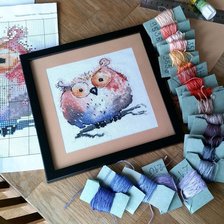 Работа «"Мандариновая сова"»