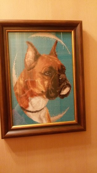 Работа «Боксер 2 (исправленный)»