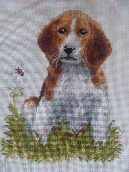 Работа «Собачка»