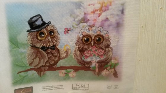 Работа «серия совы»