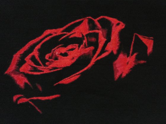 Работа «Роза на черном»