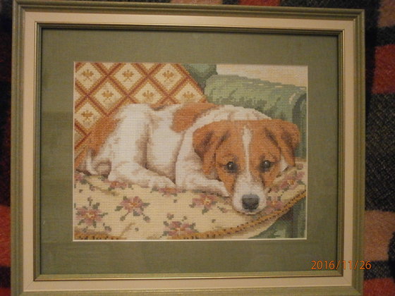 Работа «Собачка. Схема из инета.»