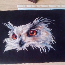 Работа «Сова»