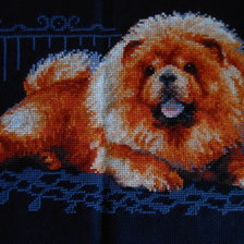 Работа «СОБАЧКА»