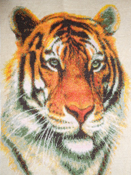 Работа «ТИГР»