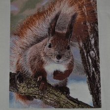 Работа «Лесная жительница»