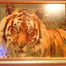 Работа «№59759»