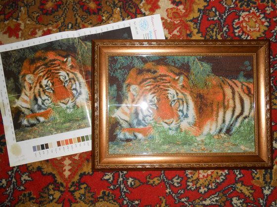 Работа «№59832»