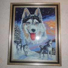 Работа «Хаски»