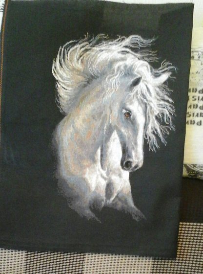 Работа «Андалузкий характер»