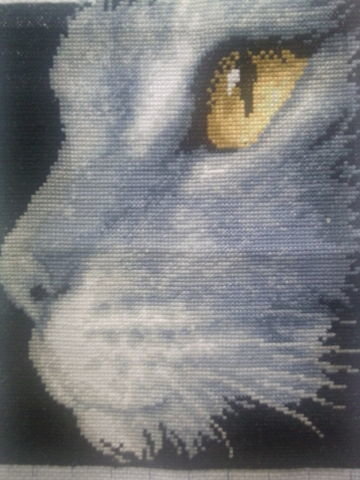 Работа «№60428»