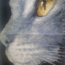 Работа «№60428»