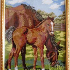 Работа «Жеребёнок»