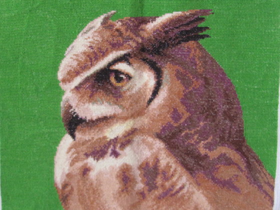 Работа «Филин - миг охоты.»