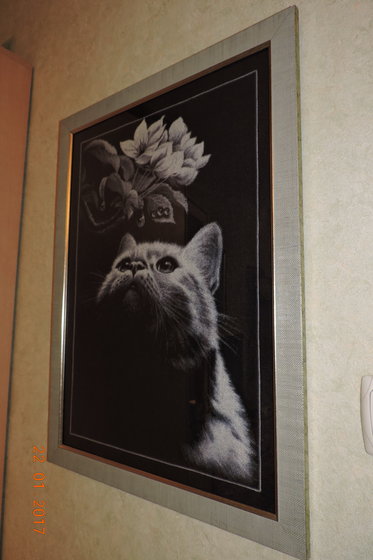 Работа «Моя кисуля»