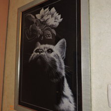 Работа «Моя кисуля»