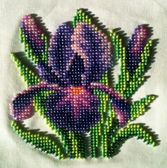 Работа «Нежный ирис (набор Кларт).»