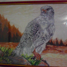 Работа «№61241»