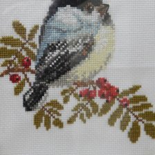 Работа «Синица»