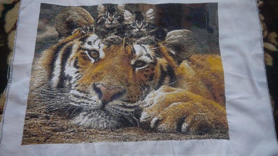 Работа «№61264»