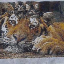 Работа «№61264»