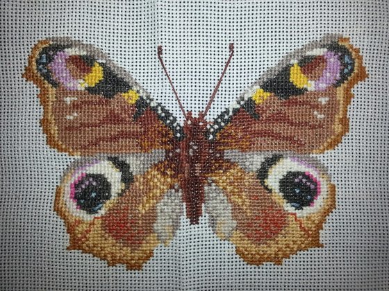 Работа «Бабочка»