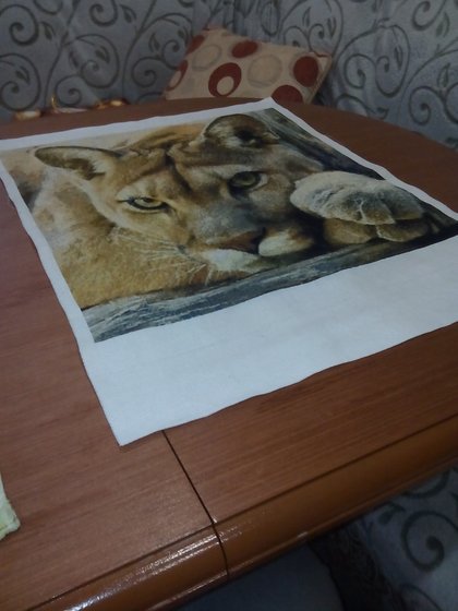 Работа «№61466»