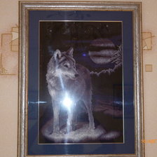 Работа «Волк от Панны»