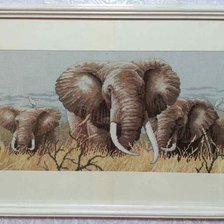 Работа «Сила спокойствия»