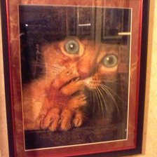 Работа «Явка провалена.»