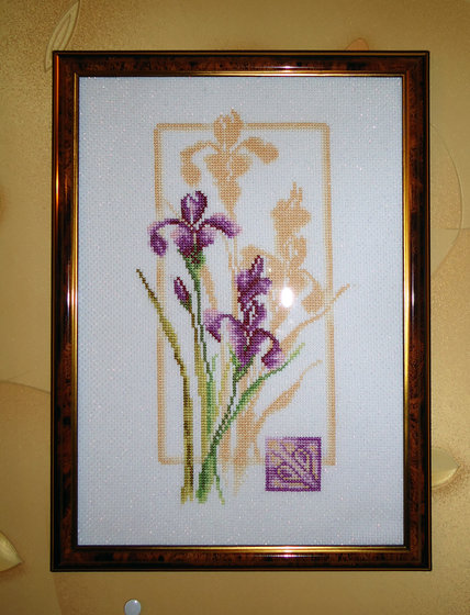 Работа «Отражение ириса. Золтое Руно (набор).»