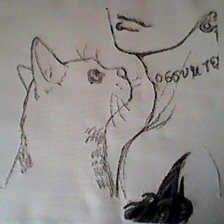 Работа «Ута и кот.»