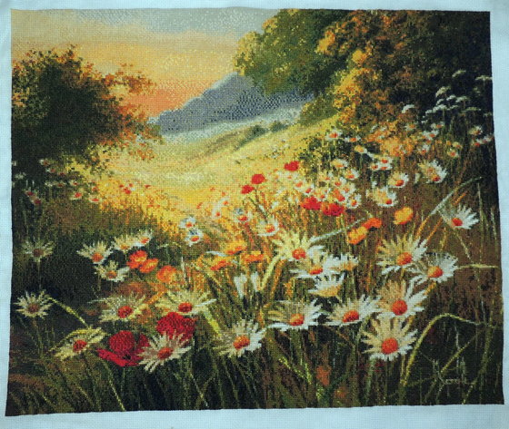 Работа «Ромашки и маки»