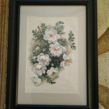 Работа «Белый шиповник»