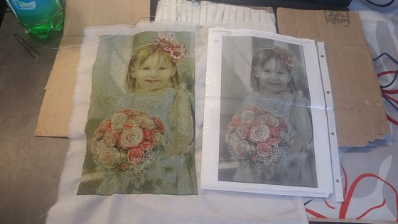 Работа «Моя племяница»