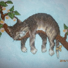 Работа «№62546»