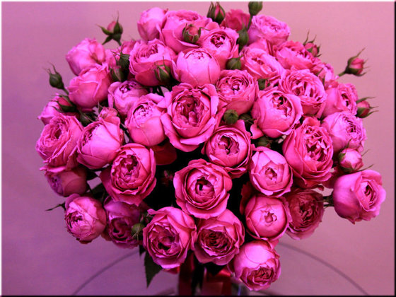 Работа «Моя прелесть»