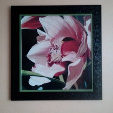 Работа «орхидея»